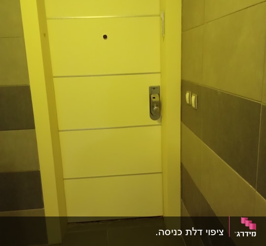 דלת צבועה בצבע בהיר עם ידית מתכת